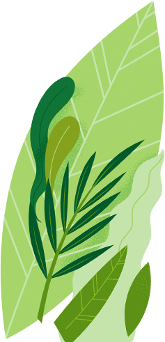 Zdrava Prehrana